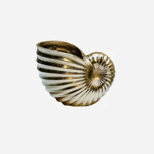 A Shell Wine Cooler