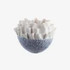 Anthozoa Blue Centerpiece