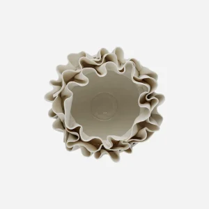 Anthozoa Centerpiece