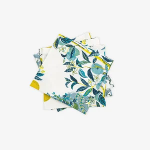 Citrus Garden Napkin - Set of 4