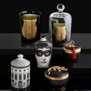 Crocodile Scented Candle
