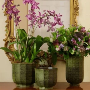 Delmara Green Vase Large