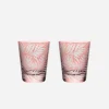 Fern Medium Tumbler Rose - Set of 2