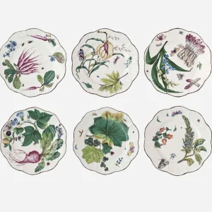 Feuillages Dinner Plates - Set of 6