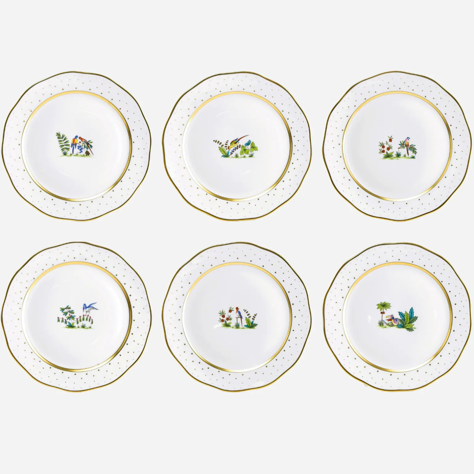 fodo_dinner_plate_fauna___0.webp Fodo Dinner Plate Fauna - Set of 6