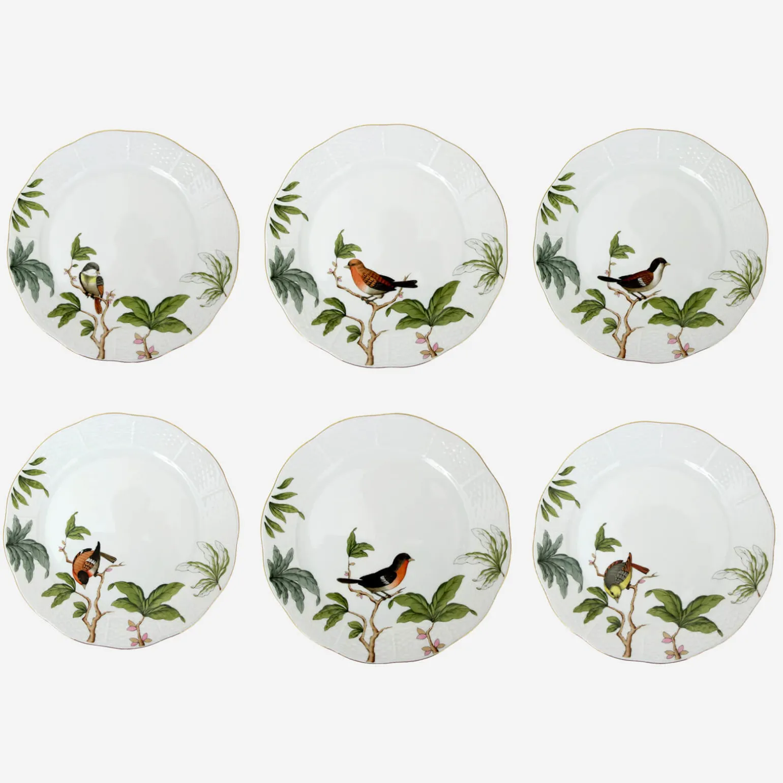 foret_bird_dinner_plate___0.webp Foret Bird Dinner Plate - Set of 6