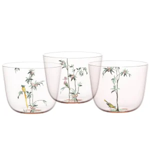 Garden of Paradise Tumblers – Set of 6