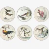 Grands Oiseaux Dinner Plates - Set of 6