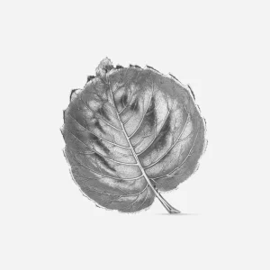 Hazelnut Leaf Sterling Silver Bowl - Medium