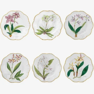 Histoires d'Orchidées Dessert Plates - Set of 6