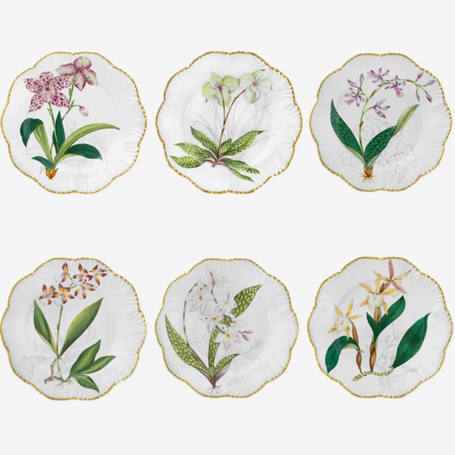histoires_dorchides_desse_0.webp Histoires d'Orchidées Dessert Plates - Set of 6