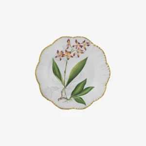 Histoires d'Orchidées Dessert Plates - Set of 6