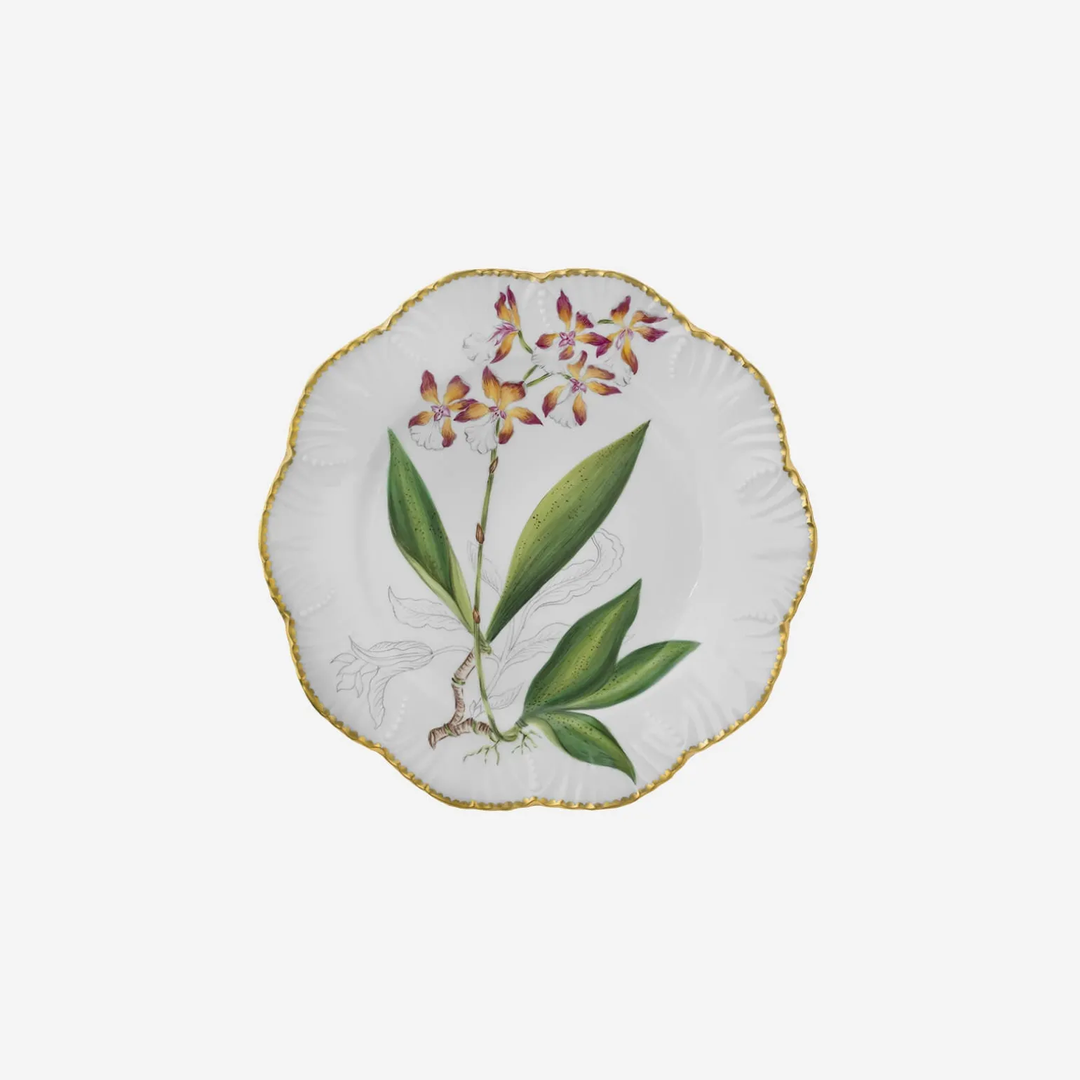 histoires_dorchides_desse_6.webp Histoires d'Orchidées Dessert Plates - Set of 6