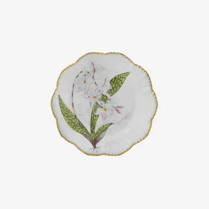 Histoires d'Orchidées Dinner Plates - Set of 6