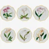 Histoires d'Orchidées Soup Plates - Set of 6