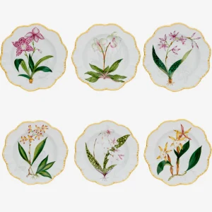 Histoires d'Orchidées Soup Plates - Set of 6