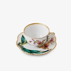 Histoires d'Orchidées Teacup & Saucer