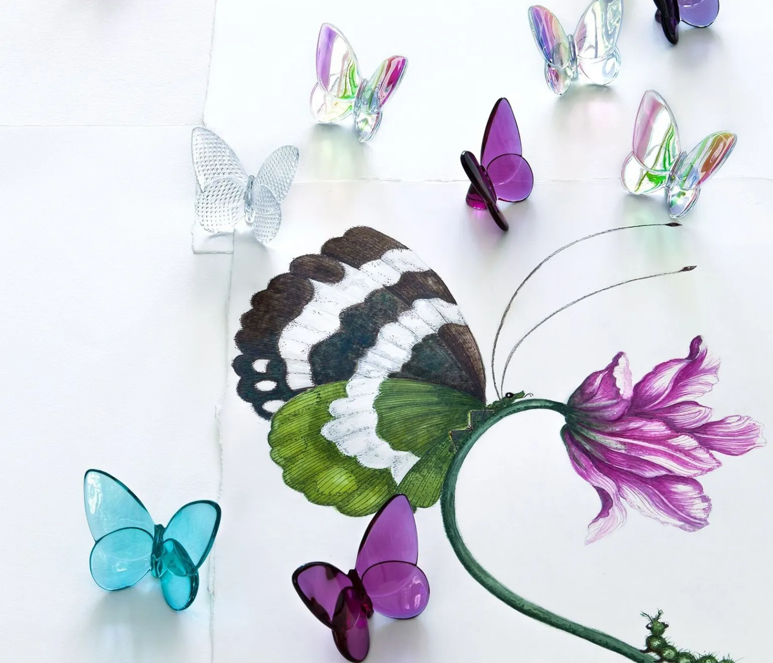 iridescent_papillon_lucky_1.webp Iridescent Papillon Lucky Butterfly