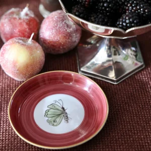 Jardins d’Udaipur Butterfly Bread Plate - Berry Red