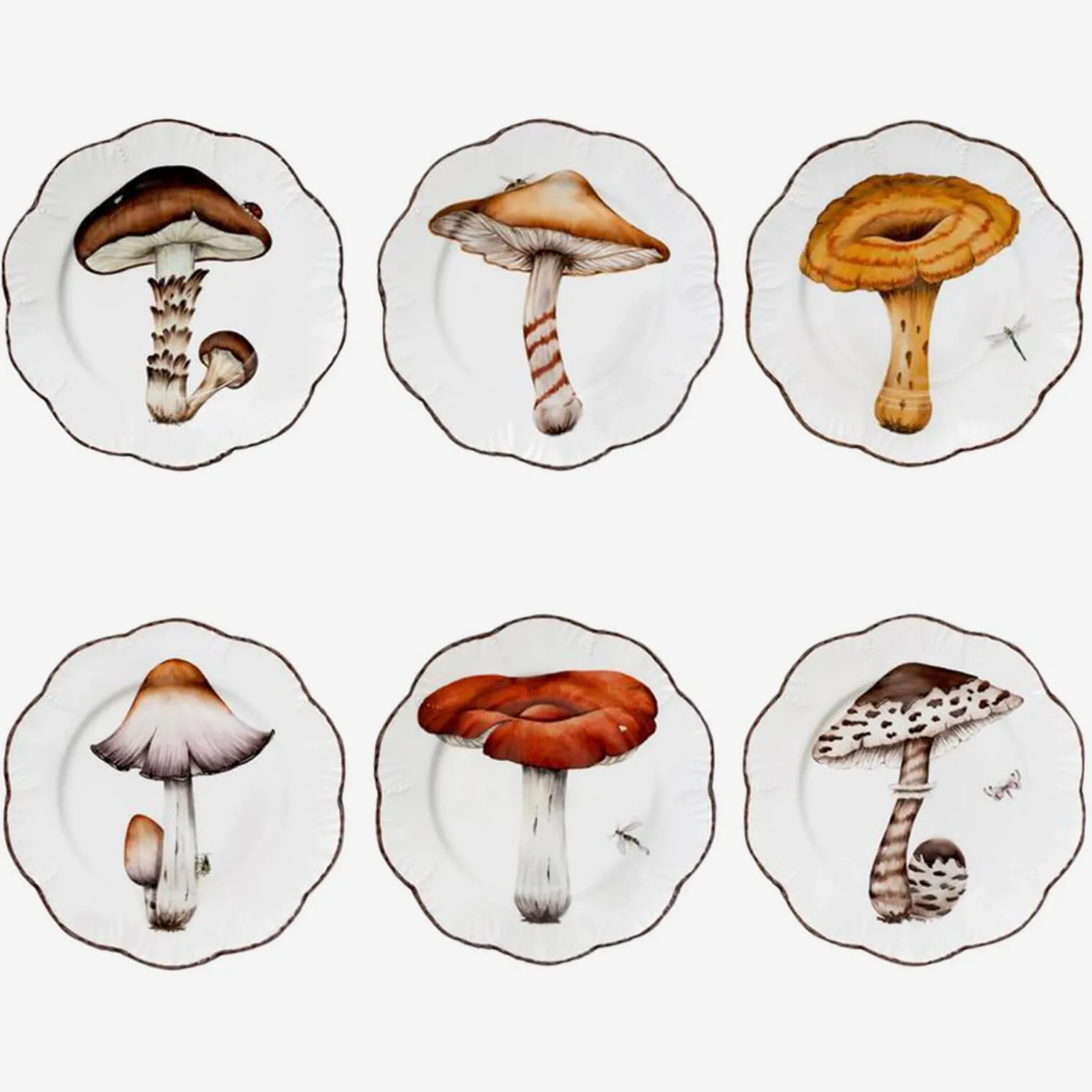 les_champignons_dinner_pl_0.webp Les Champignons Dinner Plates - Set of 6