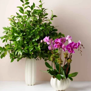 Mirabelle Cachepot White