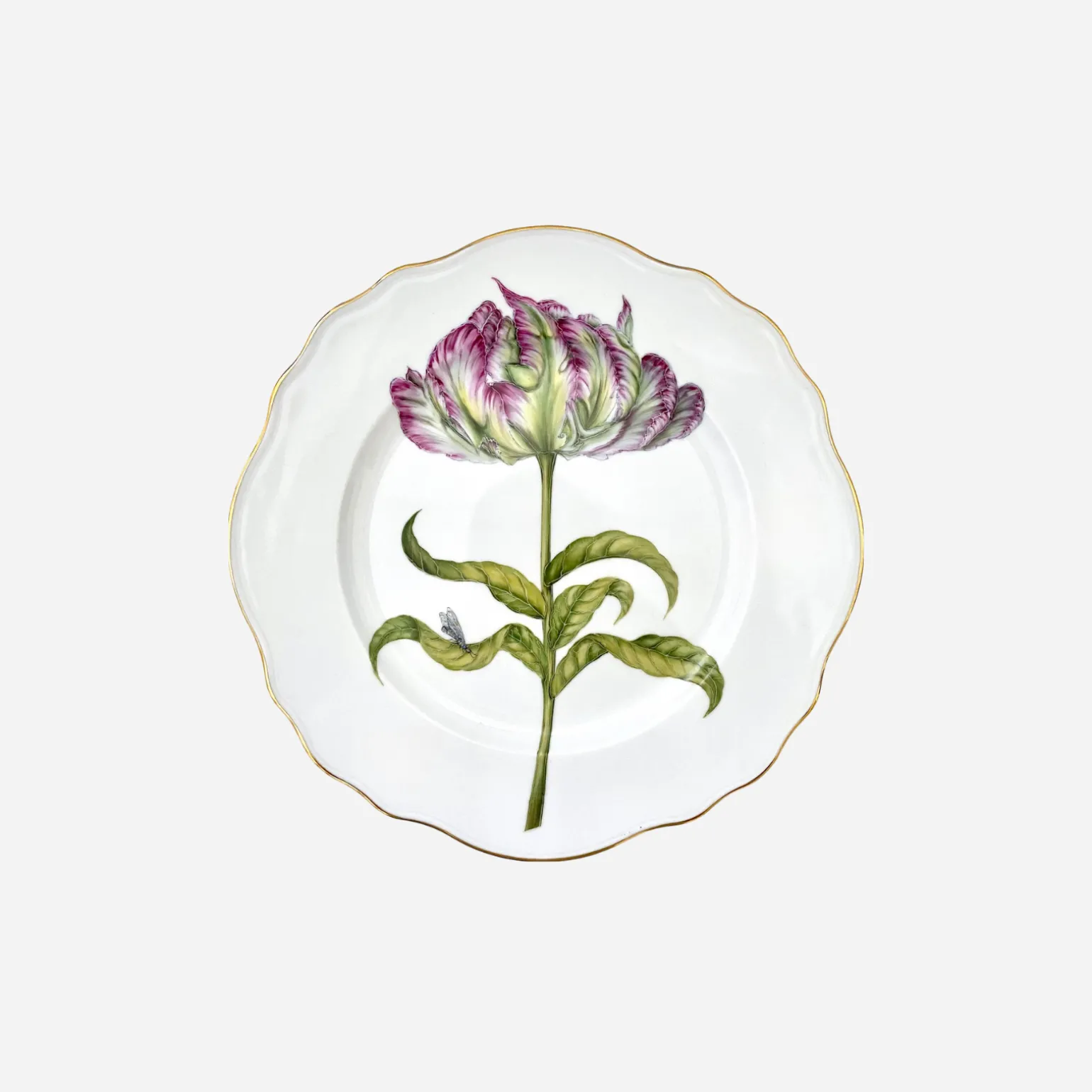 parrot_tulip_dinner_plate_0.webp Parrot Tulip Dinner Plate