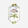 Parrot Tulip Tray