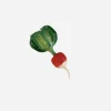 Porcelain Radish