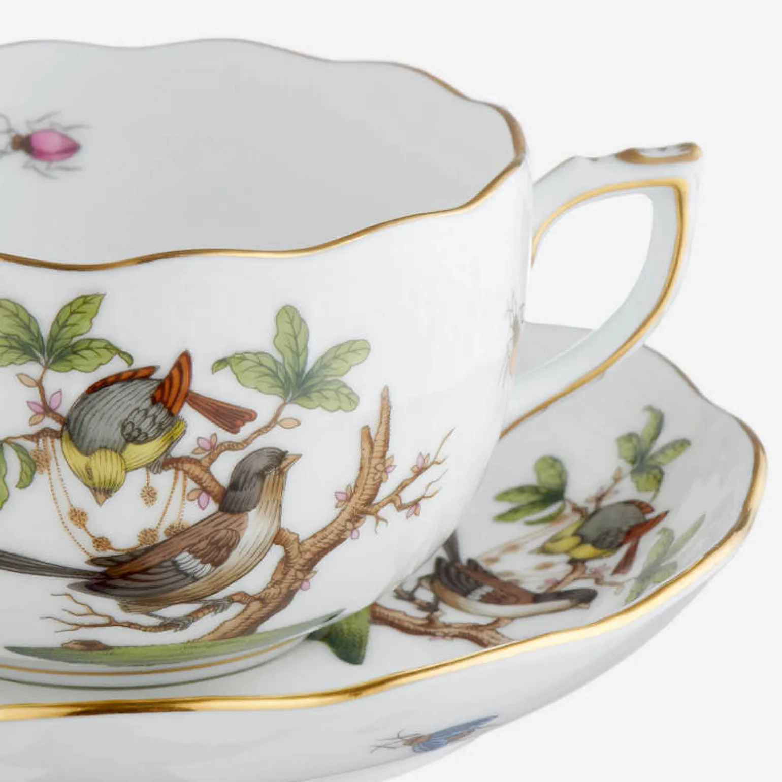 rothschild_bird_teacup__s_1.webp Rothschild Bird Teacup & Saucer - Set of 6