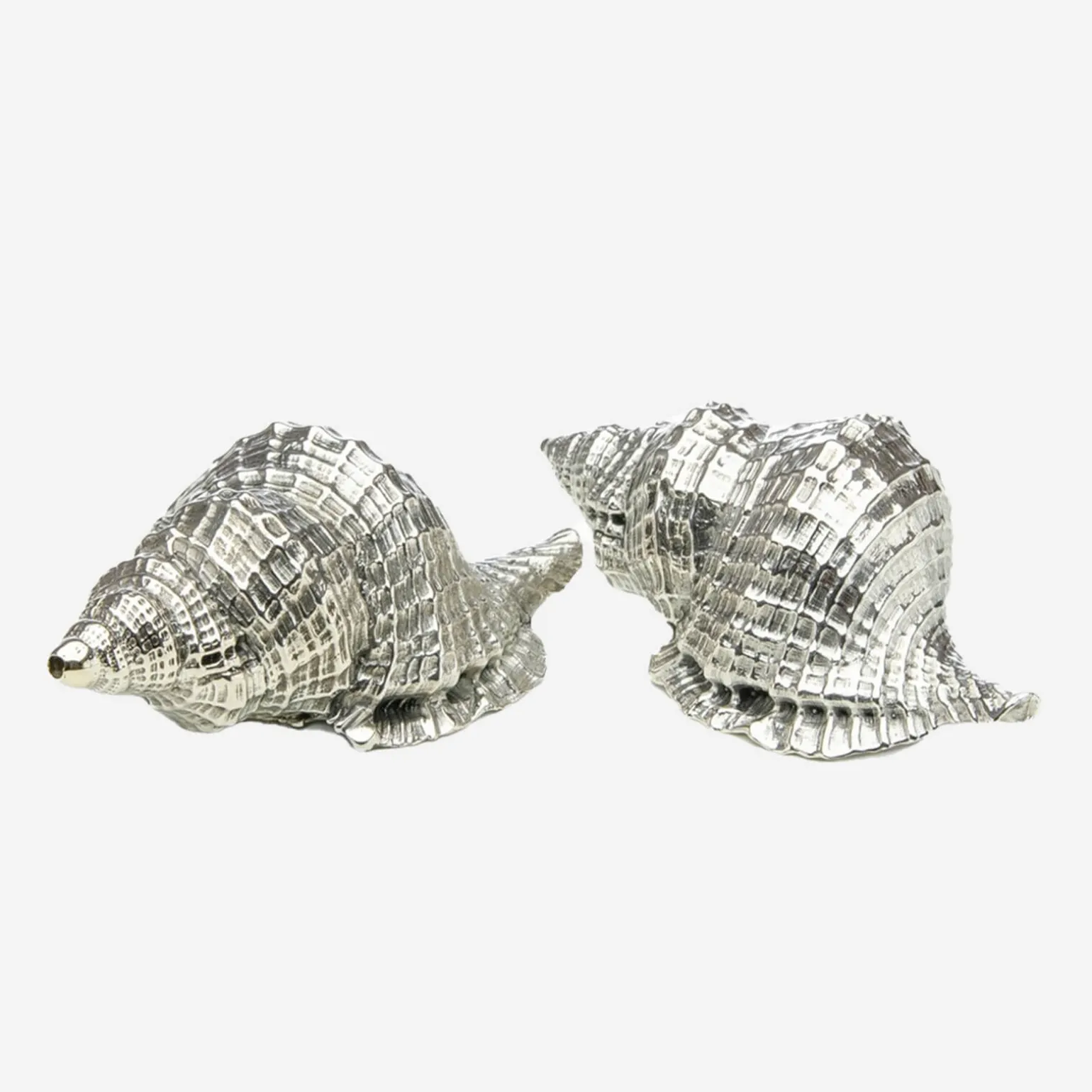 silver_shell_salt__pepper_0.webp Silver Shell Salt & Pepper Set