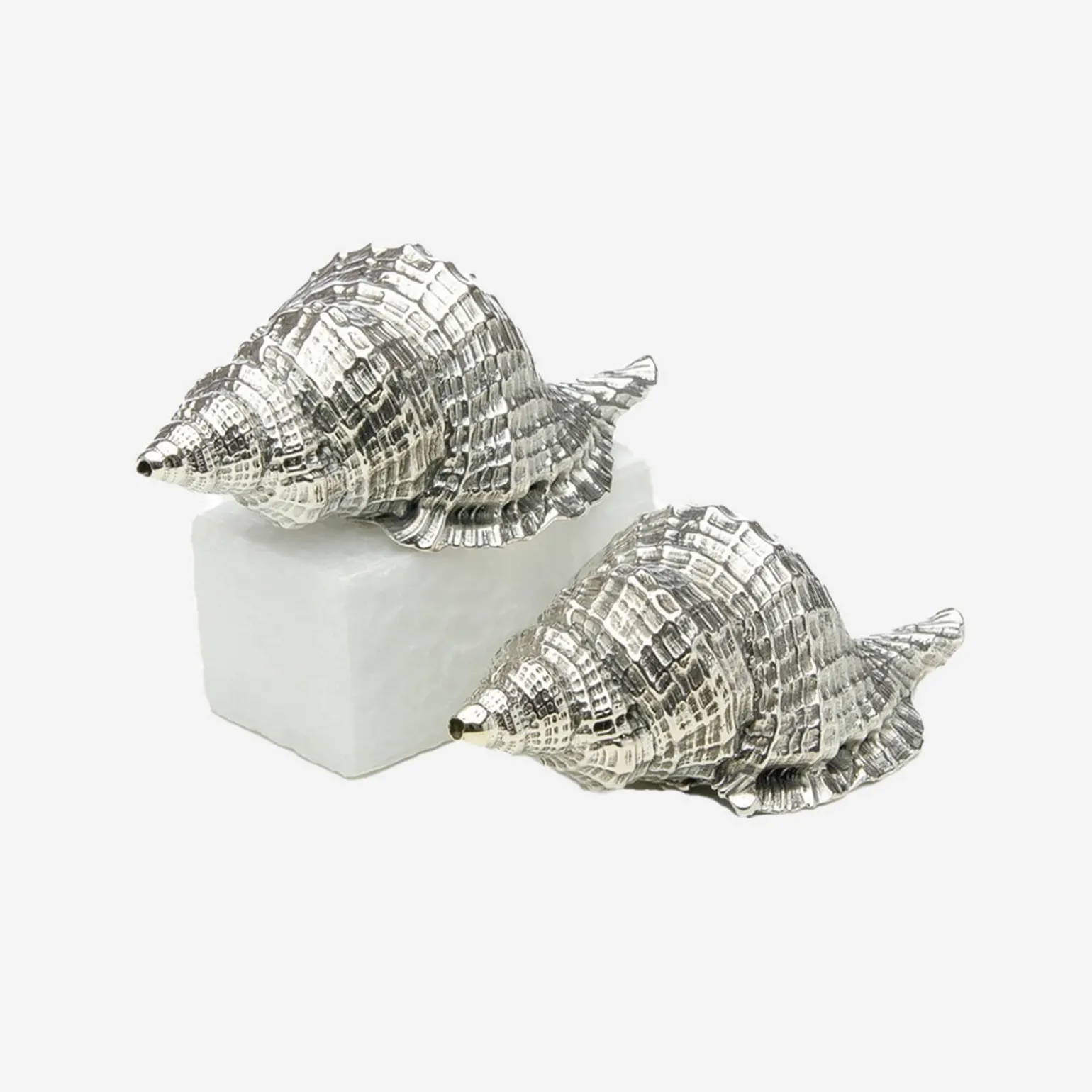 silver_shell_salt__pepper_1.webp Silver Shell Salt & Pepper Set