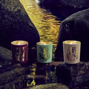 Sous Un Ciel De Pétales Scented Candle
