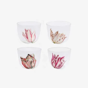 Tulipmania Water Tumblers – Set of 4