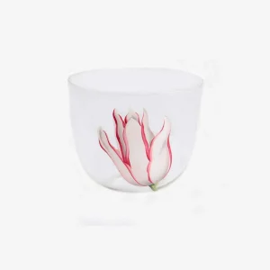 Tulipmania Water Tumblers – Set of 4