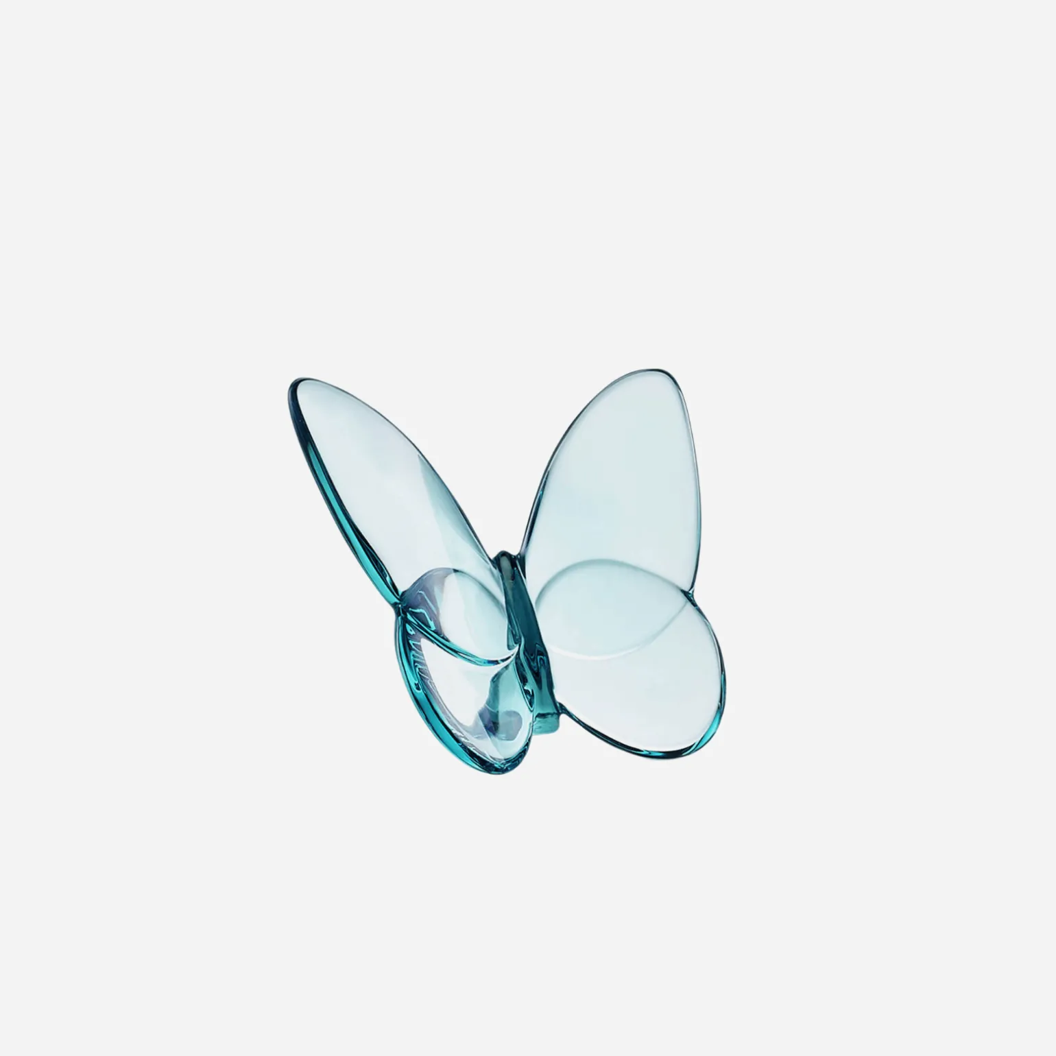 turquoise_papillon_lucky__0.webp Turquoise Papillon Lucky Butterfly