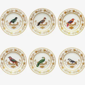 Volière Bird Dinner Plate - Set of 6