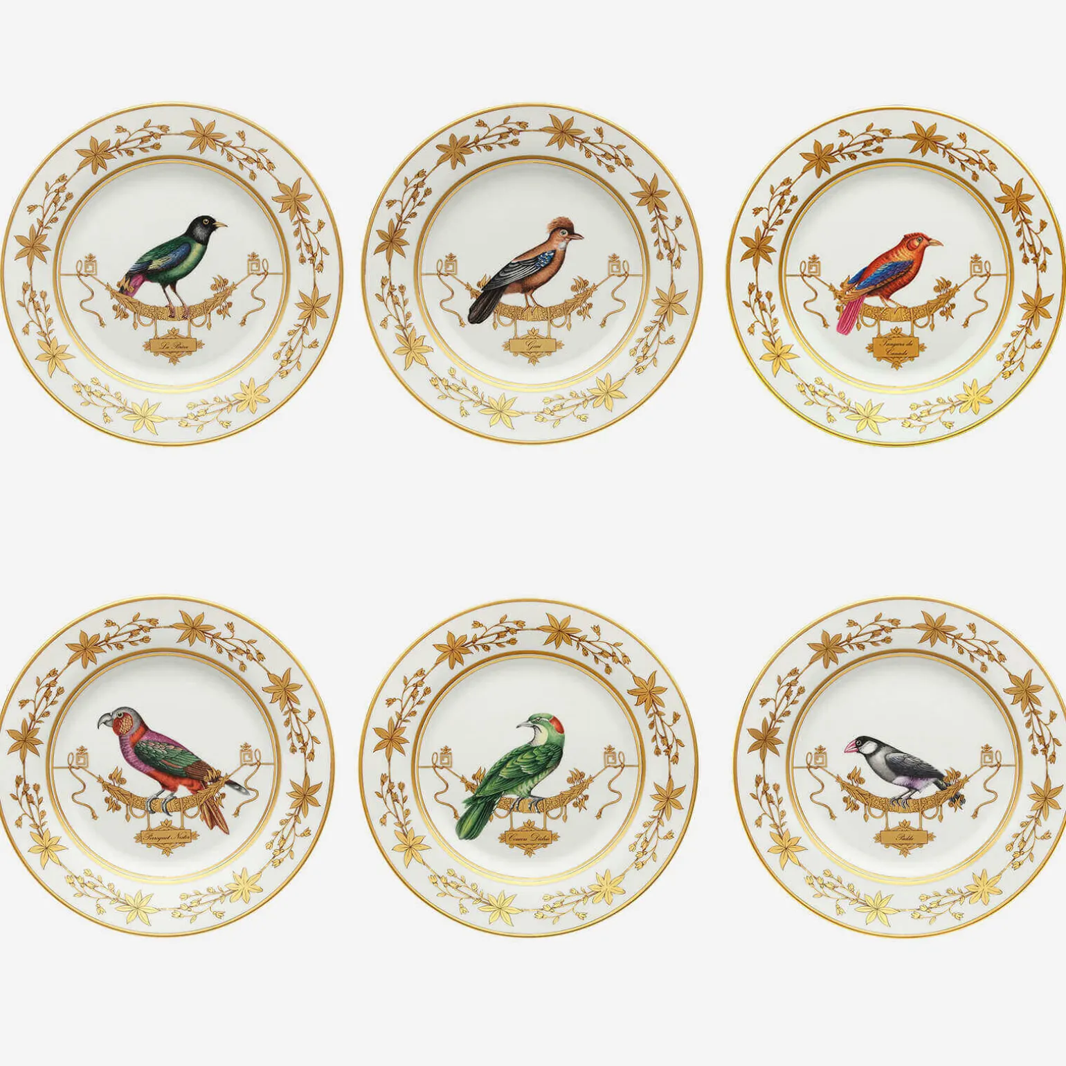 volire_bird_dinner_plate__0.webp Volière Bird Dinner Plate - Set of 6